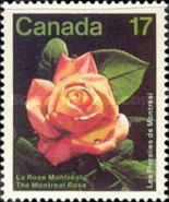 [Montreal Flower Show, type AAO]