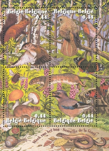 [Fauna & Flora - Forest Animals, type ]