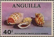[Mussels and Marine Snails, type AW]