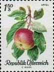 [Domestic Fruit Species, type ACW]
