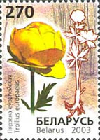 [Flowers, type PZ]