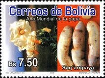 [International Year of the Potato, type BLT]
