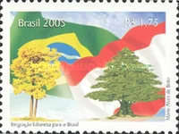 [Lebanese immigration to Brazil, type DXO]
