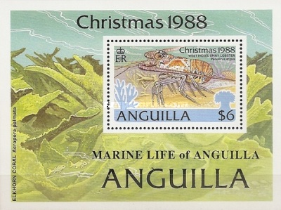 [Christmas - Marine Snails, type ]