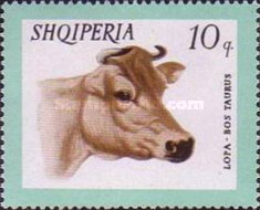 [Domestic Animals, type WD]