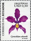 [Orchids, type DFS]