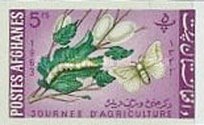 [Day of Agriculture, type JQ6]