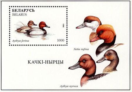 [Birds, type ]