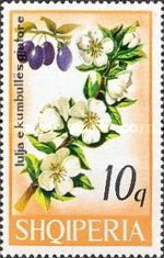 [Tree Flowers, type AGR]