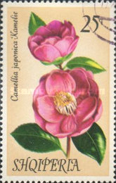 [Flowers - Camellias, type AOD]