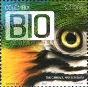 [BIO Programme - Parrots, type CWM]