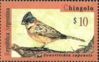 [Birds, type BWQ]