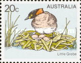 [Birds, type SA]