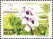[Mercosur - Flora, type DRL]