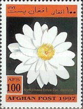 [Flora - Flowers, type AOE]