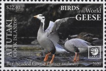 [Birds of the World - Geese, type ABC]