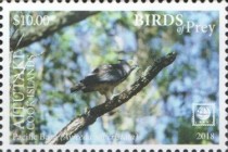 [Birds of Prey - White Frame, type ZY]