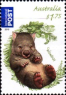 [Fauna - Australian Bush Babies, type DVC]