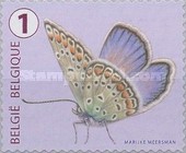 [Butterflies, type XLH]