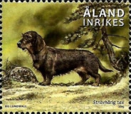 [Hunting Dogs, type OT]