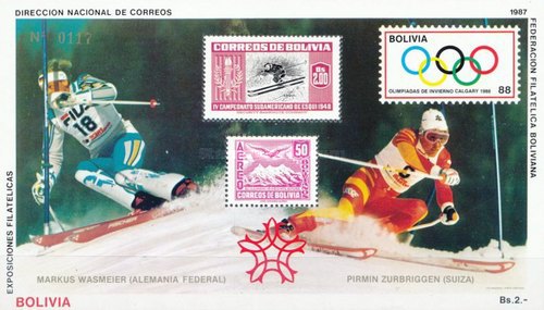 [Winter Olympic Games - Calgary, Canada, type ]