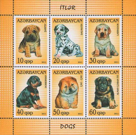 [Dogs, type ]