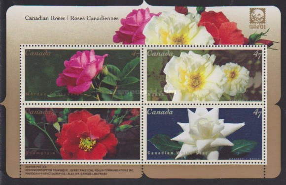 [Canadian Roses, type ]