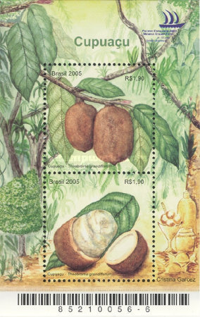 [Cupuaco - The exotic flavour of the Brazilian Amazonia, type ]