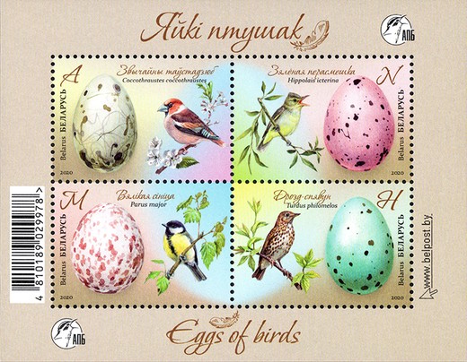[Eggs of Birds, type ]