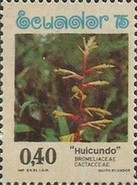 [Flowers, type BJA]