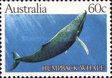 [Whales, type WR]