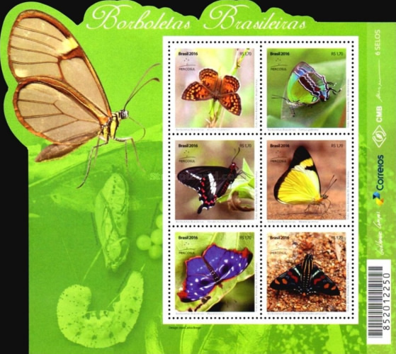 [Buitterflies of Brazil, type ]