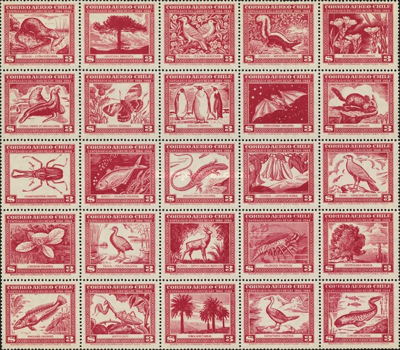 [Airmail - The 100th Anniversary of Publication of Natural History of Chile by Claudio Gay - Inscription "CENTENARIO DEL LIBRO DE GAY 1844-1944", type ]