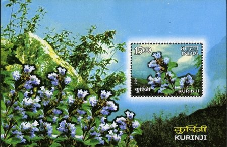 [Flora (Flowers - General), type ]