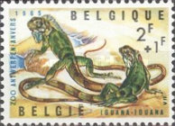 [Antwerp zoo, type AFF]