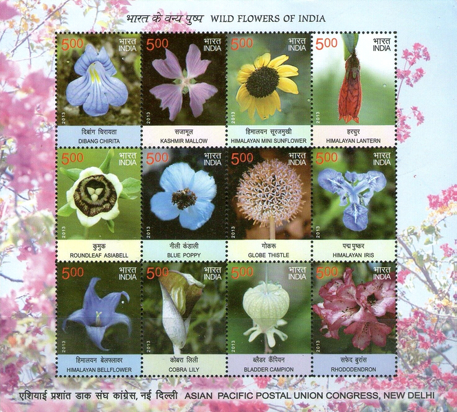 [Flora - Wild Flowers of India, type ]