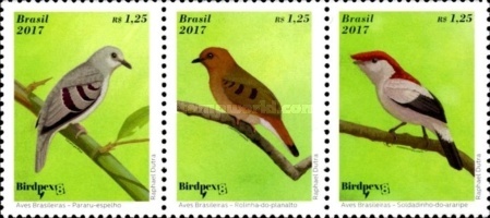 [Brazilian Birds - Birdpex 8, type ]