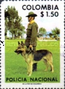 [National Police, type ANJ]