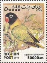 [Birds - Parrots, type AUJ]