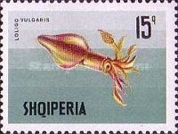 [Marine Life, type XEL]