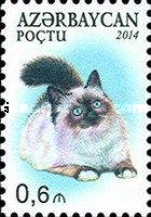 [Domestic Cats, type AKR]