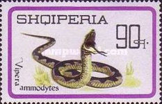 [Reptiles, type YNN]