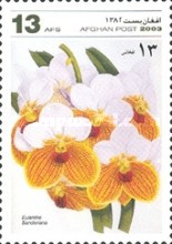 [Flowers - Orchids, type AWC]