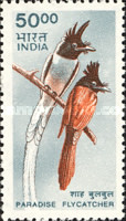 [Wildlife, type BJC]