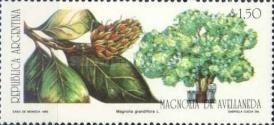 [Local Nut Bearing Trees, type BUP]