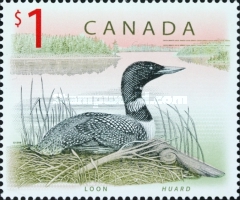 [Mammals, type BJY]