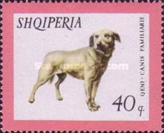 [Domestic Animals, type WH]