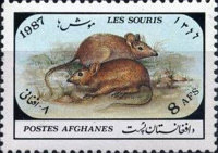 [Fauna - Mice, type AHT]