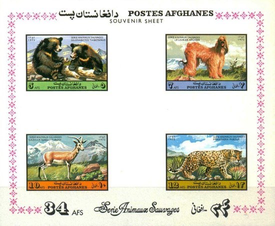 [Fauna - Mammals, type ]