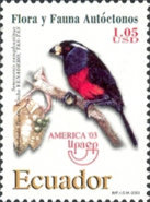[America - Fauna and Flora, type CYF]
